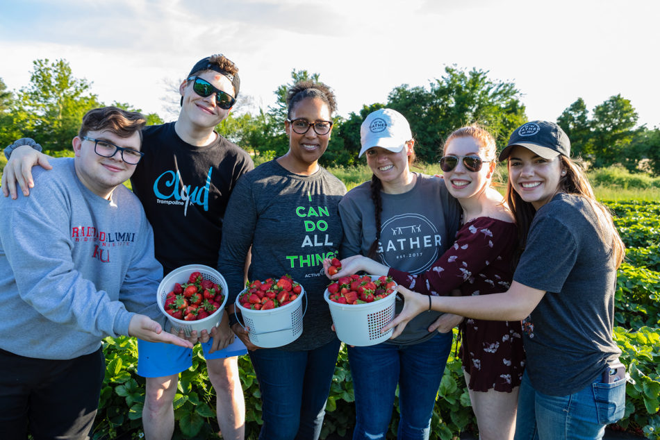 Gather Cafe team picking strawberries